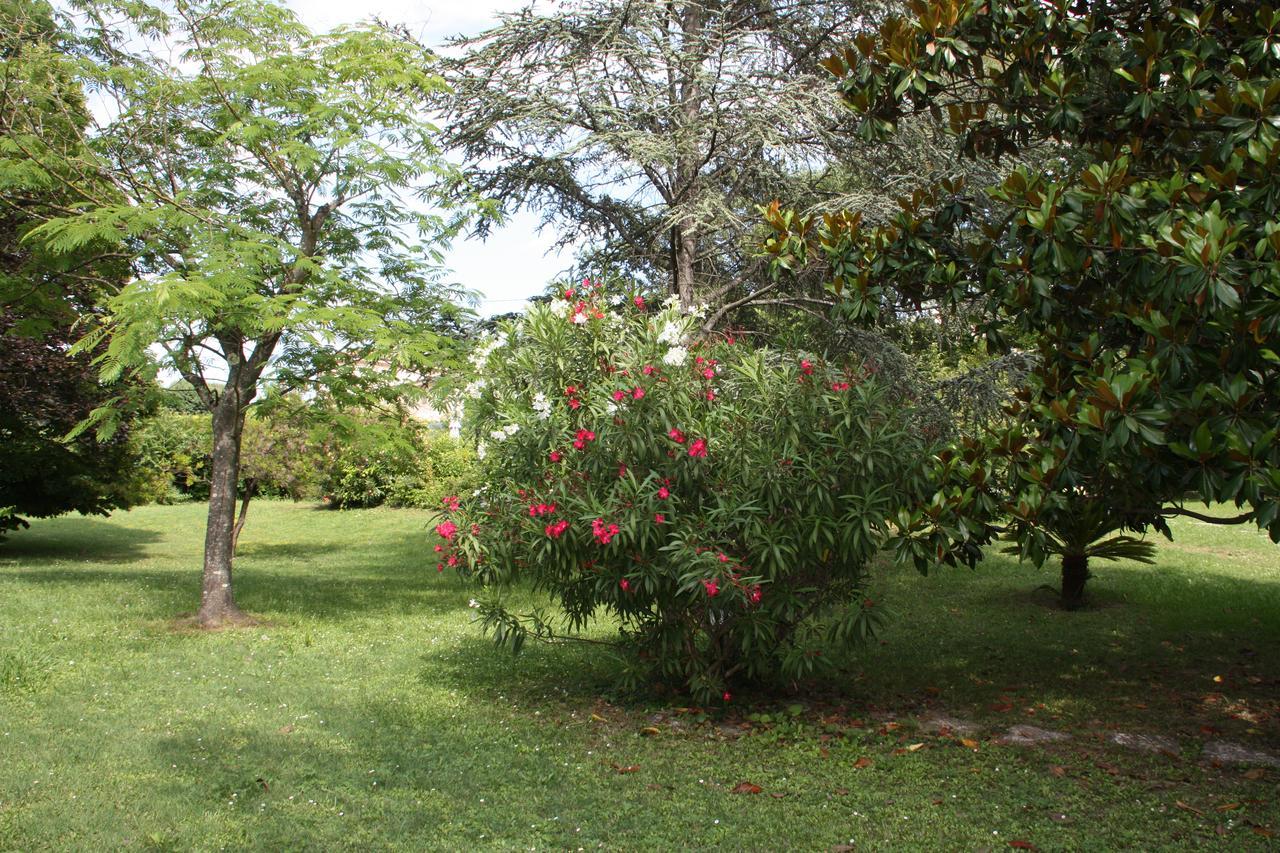 Villa Manon Mouans-Sartoux Exterior photo